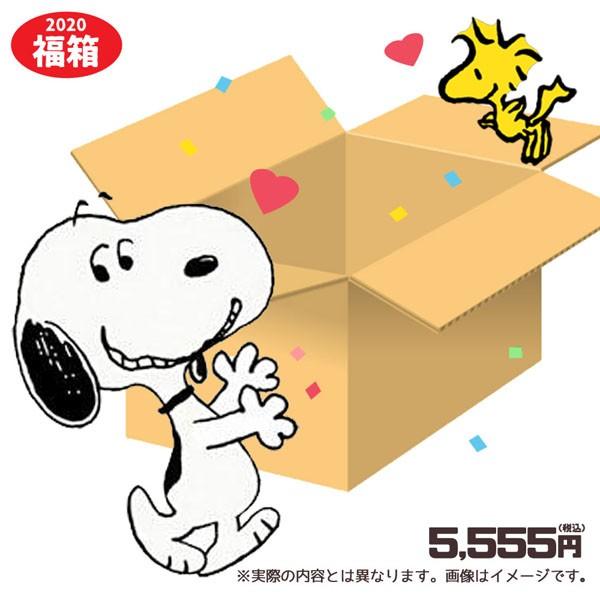 年 福袋 アイテム数は １０点前後 雑貨 スヌーピー Peanuts ピーナッツ Sn Fuku 03 O0 0wrd Wa39 パサパ 通販 Yahoo ショッピング