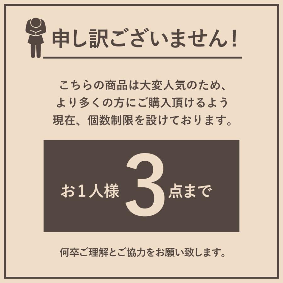 巾着 巾着バッグ 巾着ポーチ ランチバッグ 保冷バッグ 最強 小型 大 小 おしゃれ お弁当 弁当箱 ブランド ミニポーチ 軽量 日本製 Ecorip 保冷 保温 巾着袋 (L)｜pas2｜29