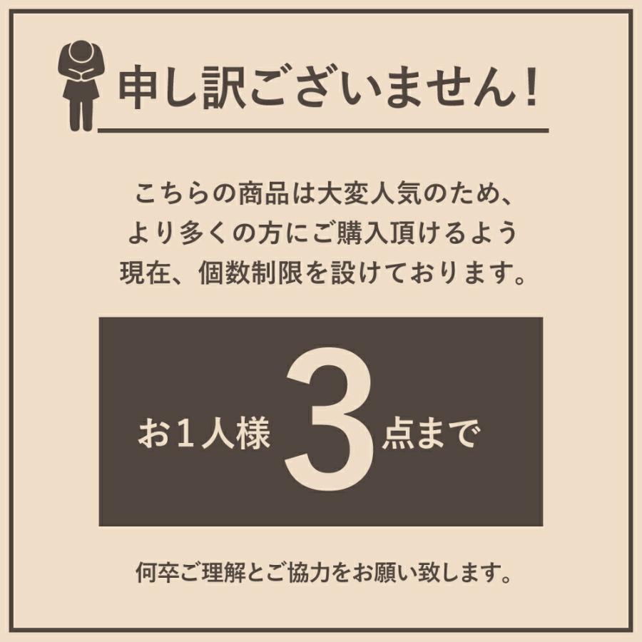 巾着袋 巾着バッグ 巾着ポーチ 保冷バッグ 最強 小型 小 ブランド ランチバッグ ミニポーチ おしゃれ 弁当袋 お弁当 軽い 日本製 Ecorip 保冷 保温 おにぎり巾着｜pas2｜30