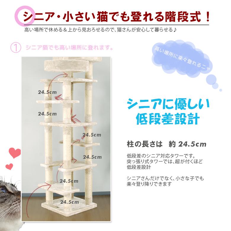 突っ張り型・転倒防止デザイン キャットタワー 低段差 子猫 〜 シニア