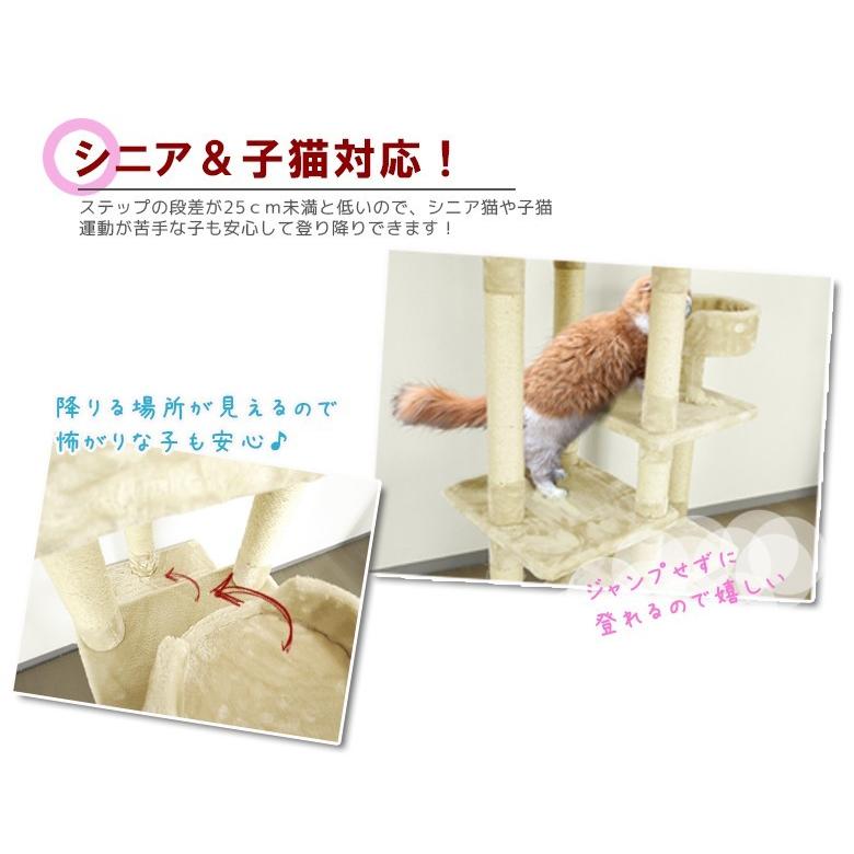 キャットタワー 据え置き 超低段差 子猫 〜 シニア 迄対応! CW キャットタワー 据え置き 超低段差 子猫 〜 シニア 迄対応! CW