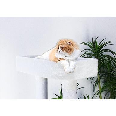 白色 ハート型のデザインがおしゃれ キャットタワー スリム 省スペース