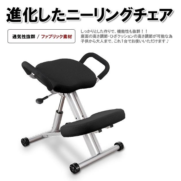 レメックス・ジャパン ニーリングチェア 【G05】バランスチェア レメックス・ジャパン ニーリングチェア 【G05】バランスチェア