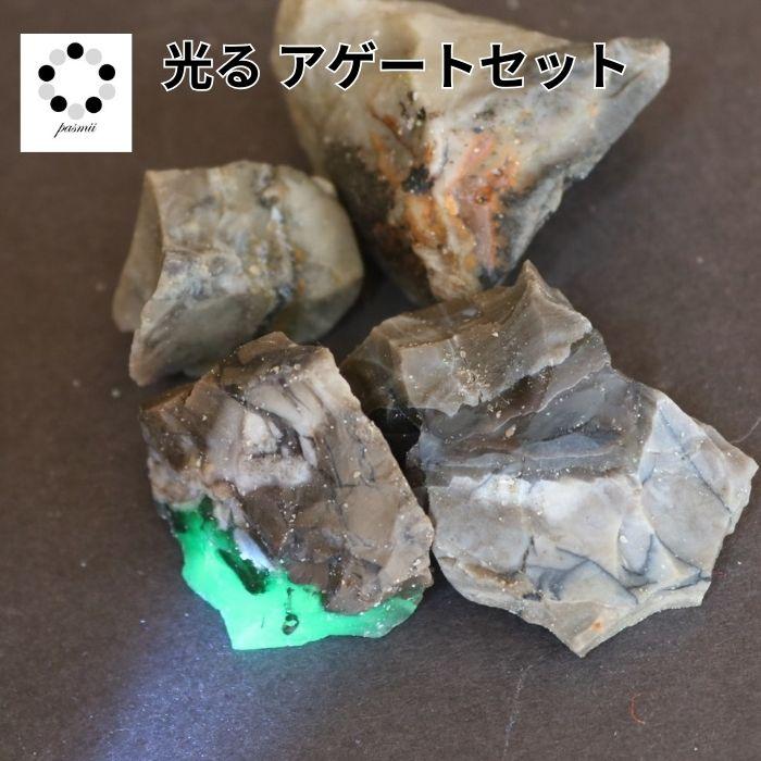 アゲート 原石 ツリーアゲート タンブル 磨き石 単品販売 インド産