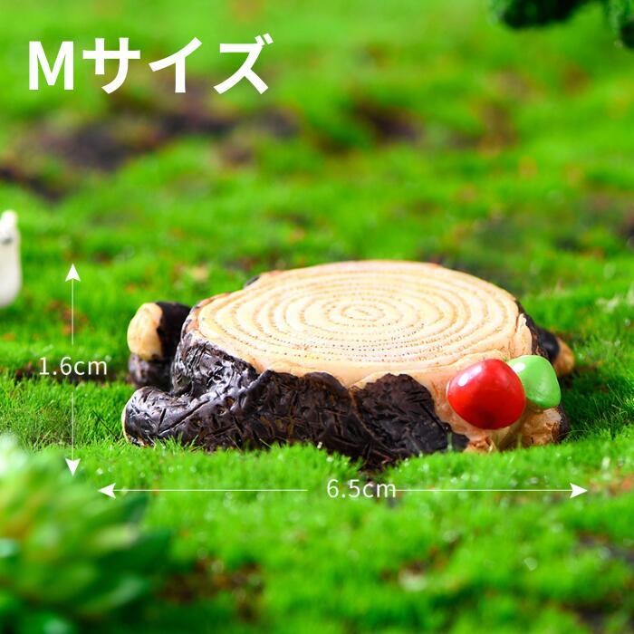 アクアマリン 切株台座付 52g 1点物 現物 原石 天然石 パワーストーン