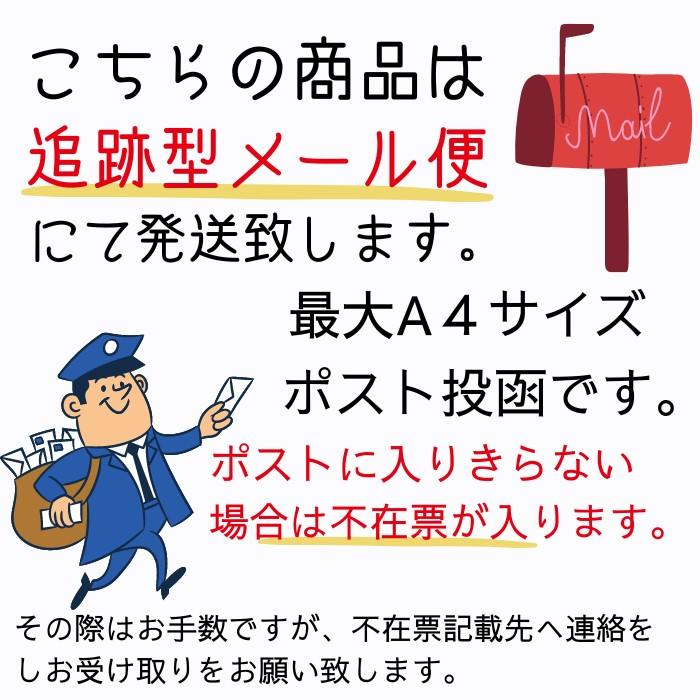 天然石 レッドジャスパー マルカバスター マルカバ 1個 メルカバスター