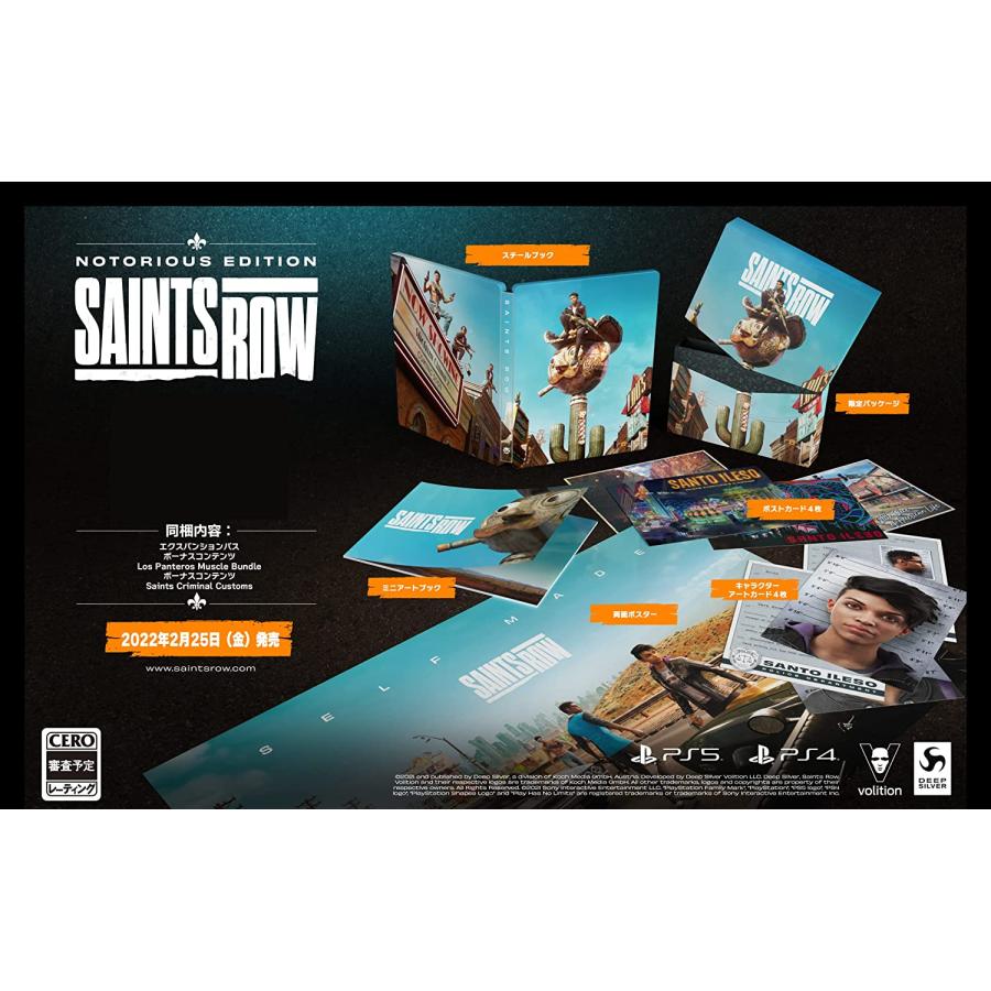 Game Soft PlayStation 4 Saints Row セインツロウ ノートリアス