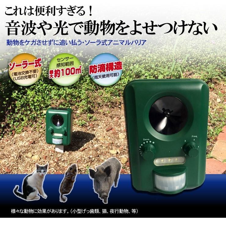 アニマルバリア 正規品 猫よけ 猫撃退 猫退治 超音波 ソーラー式 充電 電池不要 センサー感知 猫 退治 猫除け 害獣対策 家庭菜園 ねこよけ カラスよけ IJ-ANB-03｜pasoden｜02