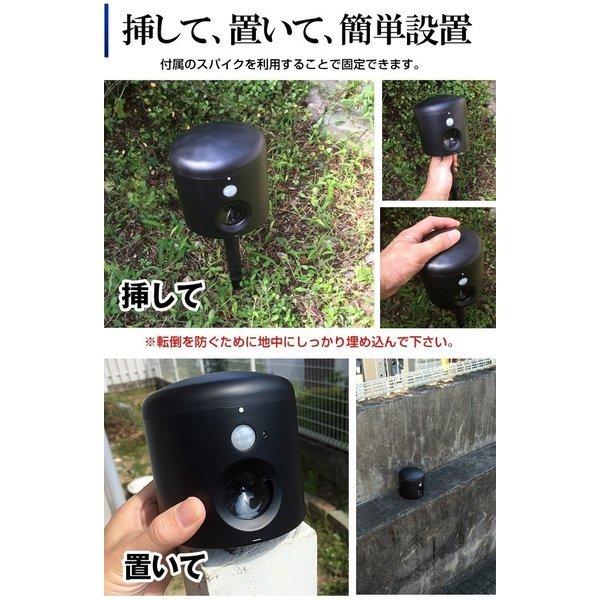 アニマルバリアブラックミニ 正規品 猫よけ U-ANB-04-BK コンパクト 超音波 センサー 猫撃退 猫除け 猫対策 小型 畑 庭 野良猫対策 糞尿 対策 害獣 鳥獣対策 :u-anb-04-bk:パソ電通信 Yahoo!店 - 通販 - Yahoo!ショッピング アニマルバリアブラックミニ 正規品 猫よけ U-ANB-04-BK コンパクト 超音波 センサー 猫撃退 猫除け 猫対策 小型 畑 庭 野良猫対策 糞尿 対策 害獣 鳥獣対策 :u-anb-04-bk:パソ電通信 Yahoo!店 - 通販 - Yahoo!ショッピング