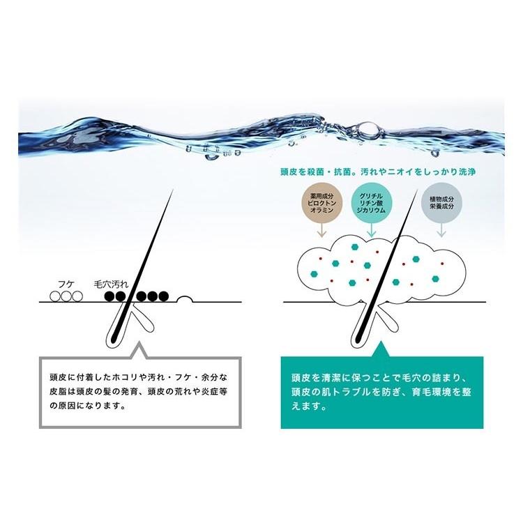 DiNOMEN 2点セット 薬用スカルプケア リンスインシャンプー 詰替え用