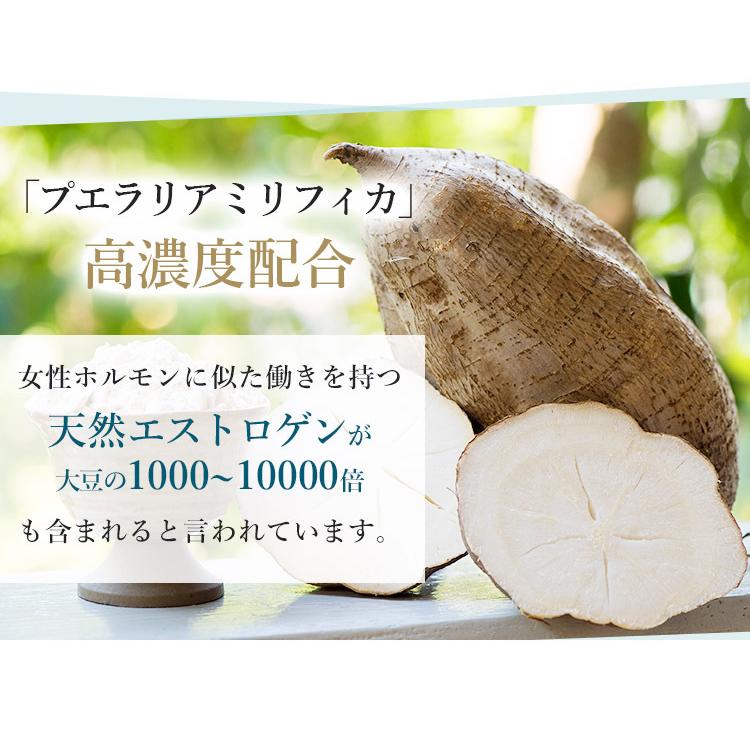 エピール アフターシェーブローション 100ml EPPEAL 海外