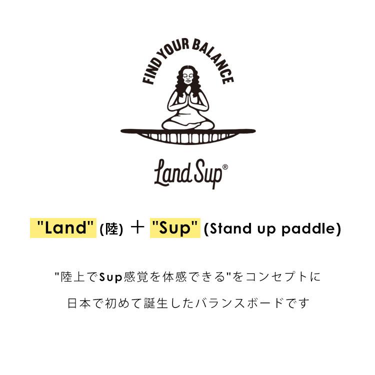 バランスボード LandSup Crazy mini ランドサップ クレイジーミニ 全2