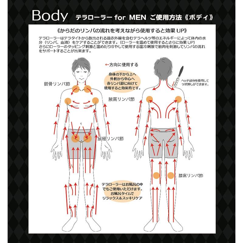 テラローラー for MEN 美波動ローラー メール便無料 : PassageMens