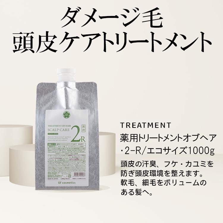 薬用トリートメントオブヘア・2-R エコサイズ 1000g 海外×_2