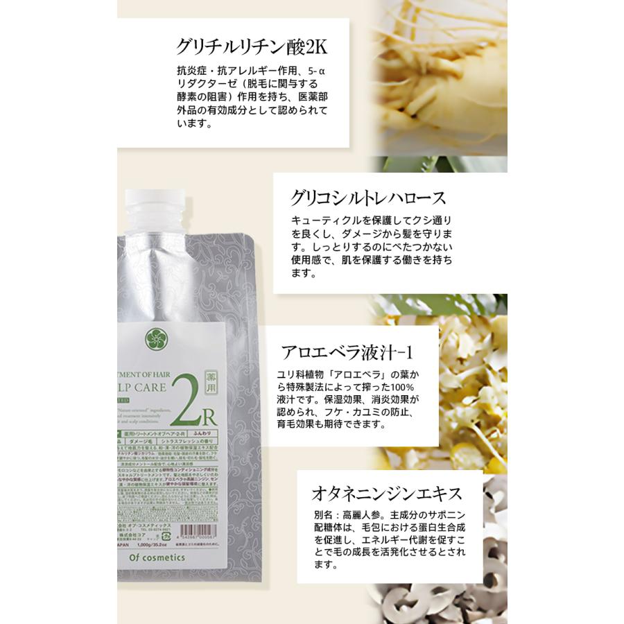 薬用トリートメントオブヘア・2-R エコサイズ 1000g 海外×_3