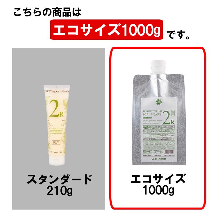 薬用トリートメントオブヘア・2-R エコサイズ 1000g 海外×_6