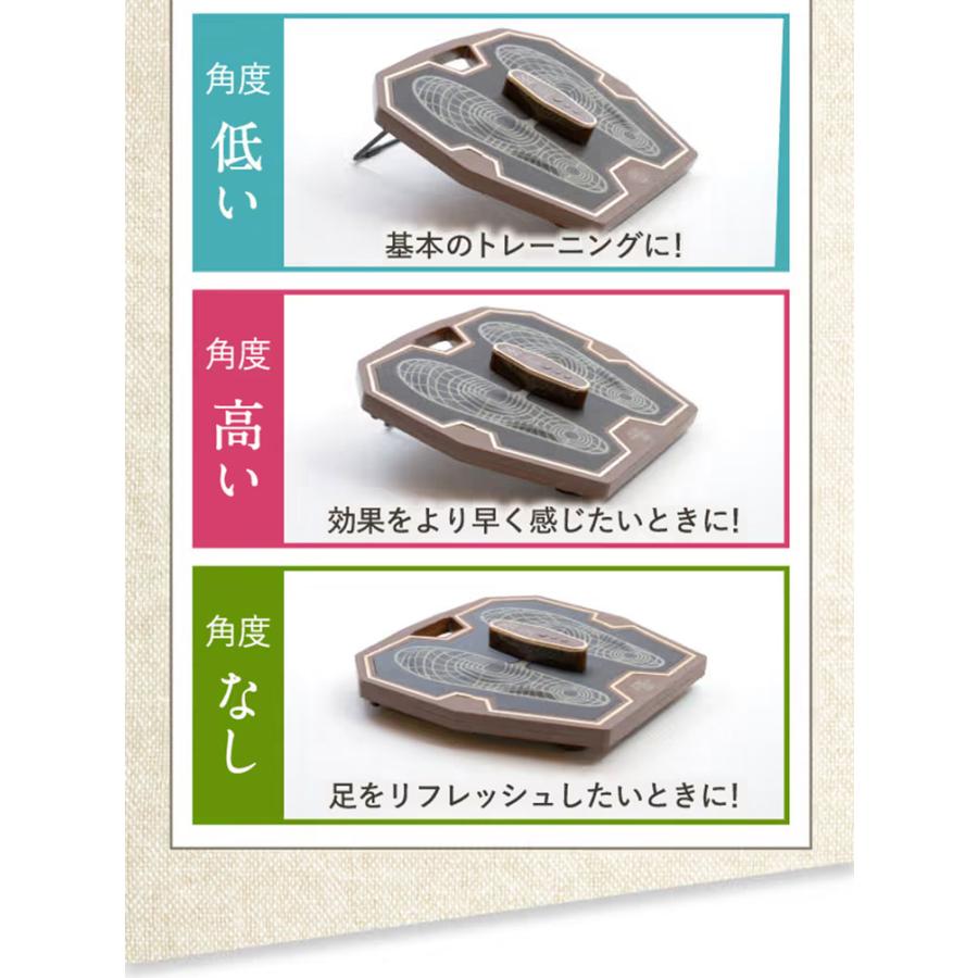 保阪尚希プロデュース フットエナジープロ FE‐002 FOOT ENERGY PRO 足 