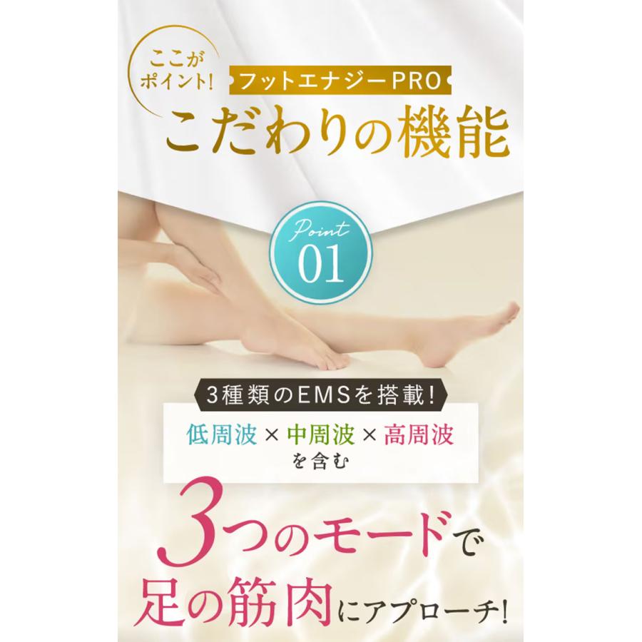 保阪尚希プロデュース フットエナジープロ FE‐002 FOOT ENERGY 保阪尚希プロデュース フットエナジープロ FE‐002 FOOT ENERGY