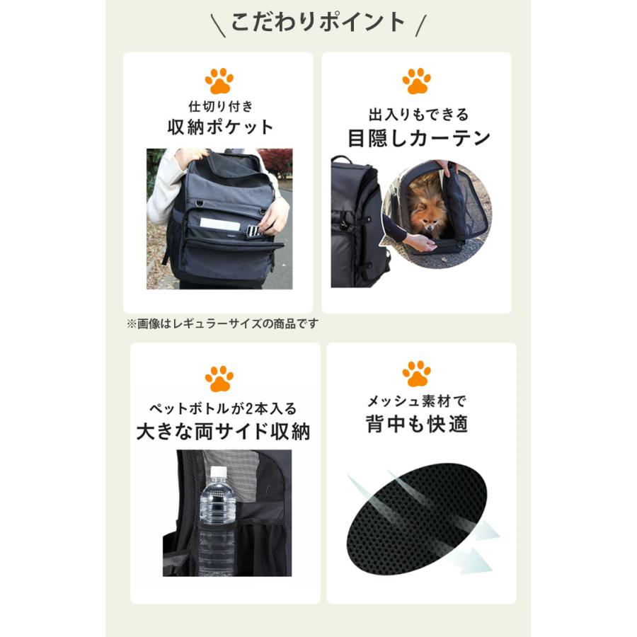 選べる特典付 エアバギーフォーペット 3WAYバックパックキャリー