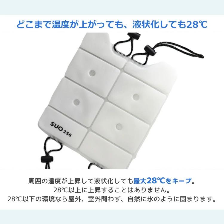 アウトレット） 新作 スオ 256 アイスクールリュック S Suo