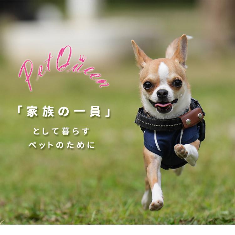 ドット柄ペットキャリーバッグ 小型犬用 ジェラートピケ ペット