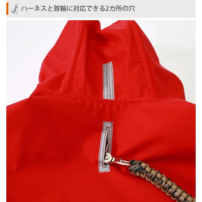 わんちゃんグッズ付 DeLoreans 犬用レインコート Lサイズ 穴澤賢 中型