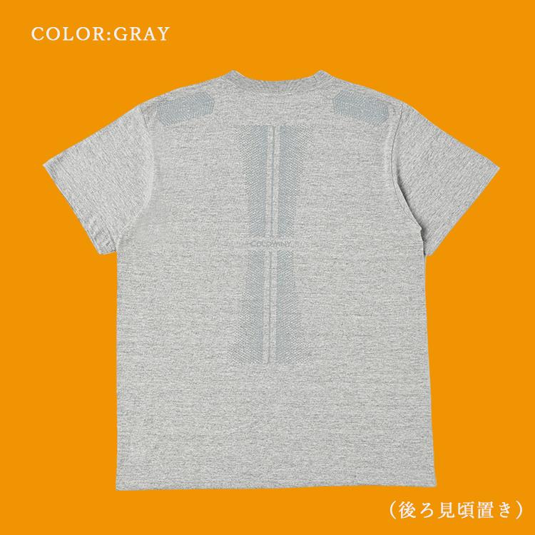 COLOVANY コロバニィ コットンTシャツ 半袖 クルーネック