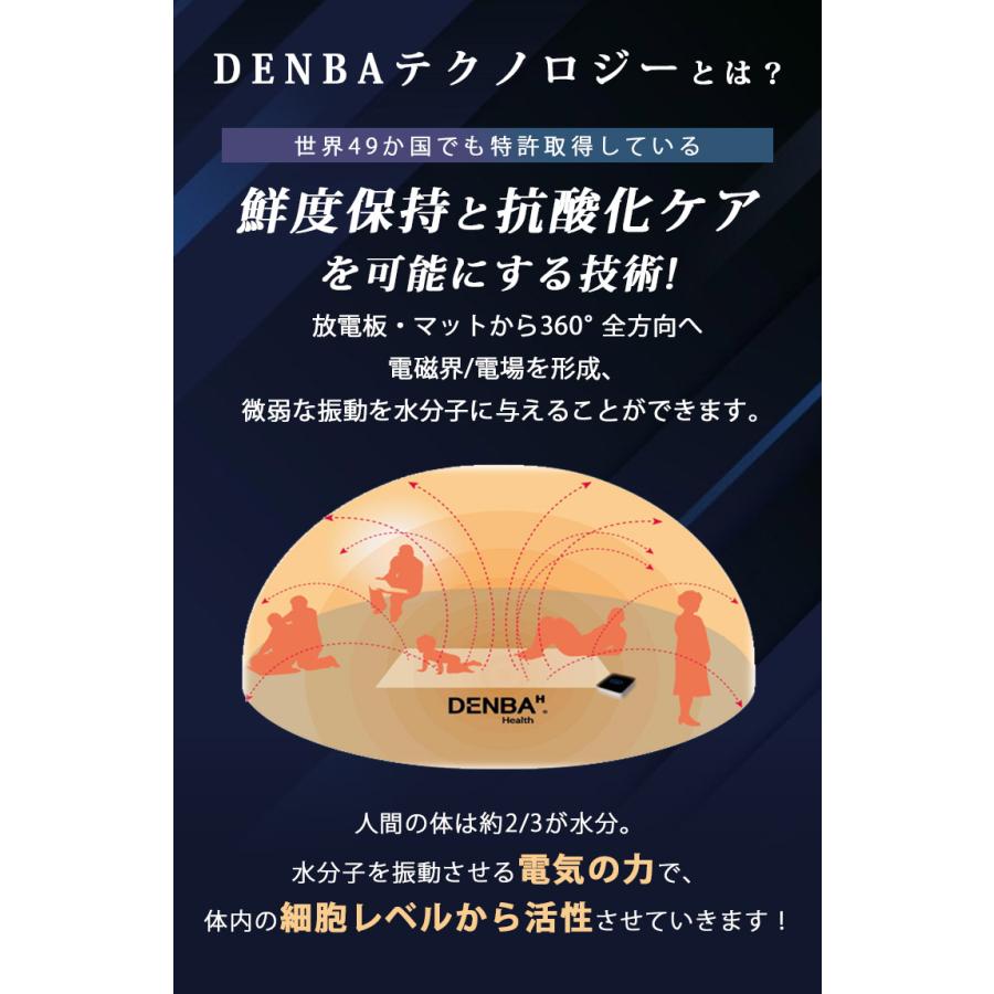DENBA Health Sleep デンバスリープ デンバ 枕 高機能寝具 美顔器