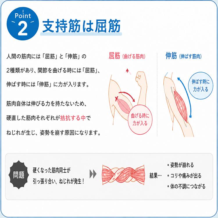 W特典付 さとう式リンパケア 腰サポータースパッツ さとう式 佐藤式 腰