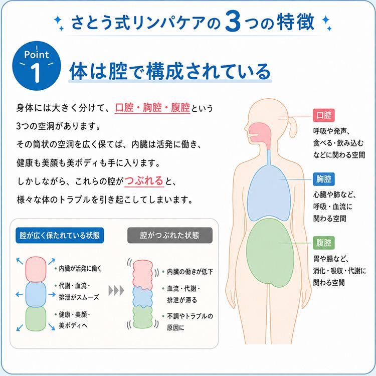 W特典付 さとう式リンパケア 腰サポータースパッツ さとう式 佐藤式 腰