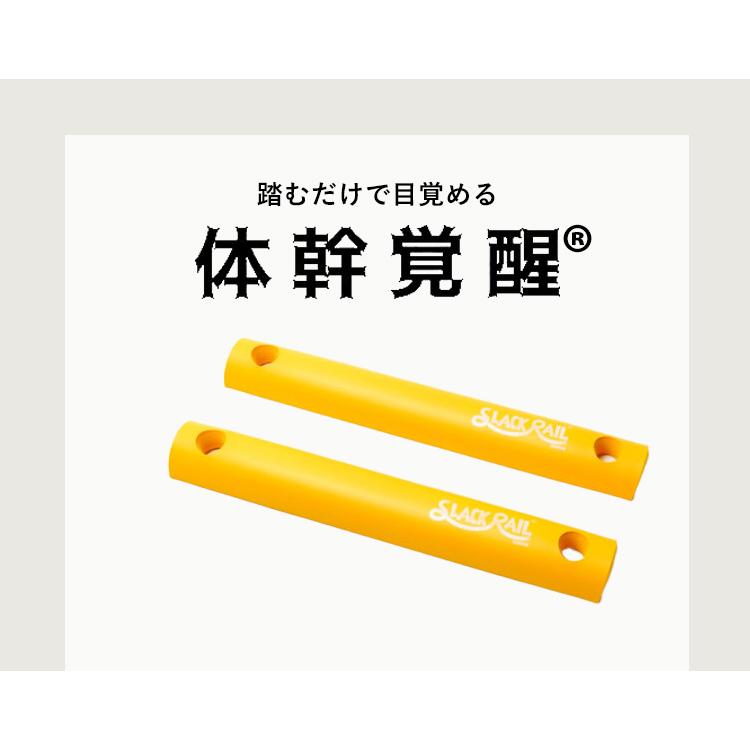 選べる特典付 選べる2本セット ジリリタ スラックレール コンパクト