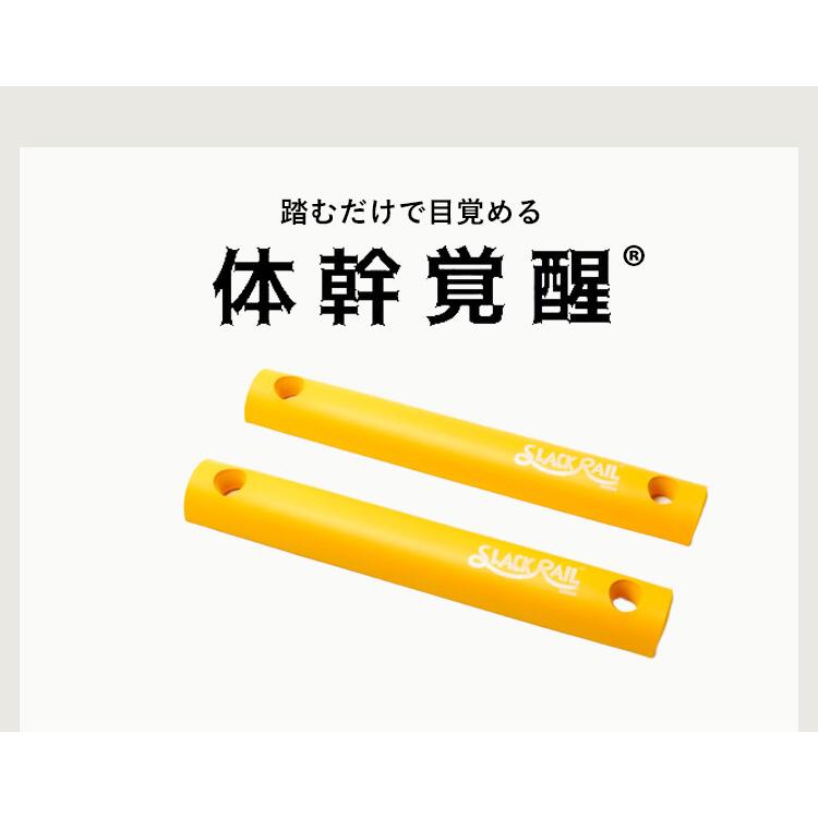 お得な2本パック！ジリリタ スラックレールコンパクト gililita