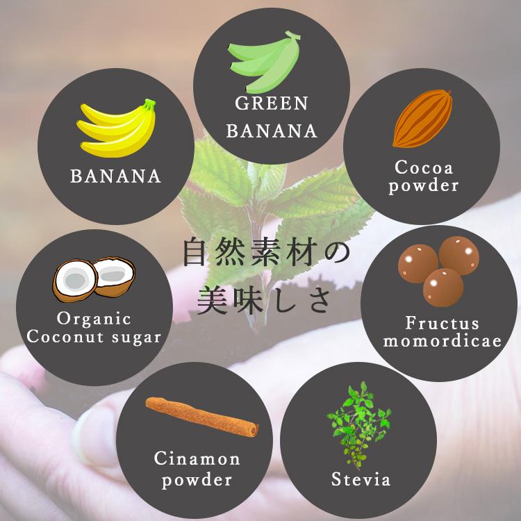 W特典付 2個セット 植物性プロテイン HALEO VEGA ハレオ ベガ ソイ サチャインチ soy protein ヴィーガン プレミアム栄養食 厳選 自然素材 チョコバナナ (DM)の画像
