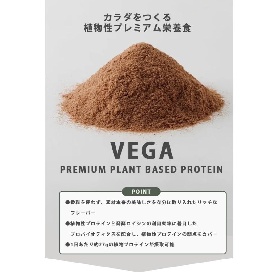 W特典付 2個セット 植物性プロテイン HALEO VEGA ハレオ ベガ ソイ サチャインチ soy protein ヴィーガン プレミアム栄養食 厳選 自然素材 チョコバナナ (DM)の画像