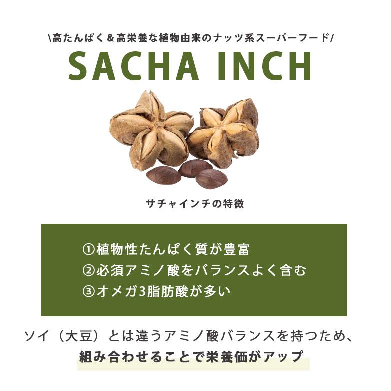 W特典付 2個セット 植物性プロテイン HALEO VEGA ハレオ ベガ ソイ サチャインチ soy protein ヴィーガン プレミアム栄養食 厳選 自然素材 チョコバナナ (DM)の画像