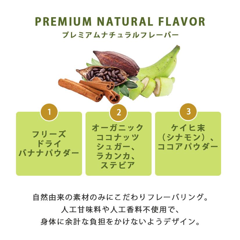 W特典付 2個セット 植物性プロテイン HALEO VEGA ハレオ ベガ ソイ サチャインチ soy protein ヴィーガン プレミアム栄養食 厳選 自然素材 チョコバナナ (DM)の画像