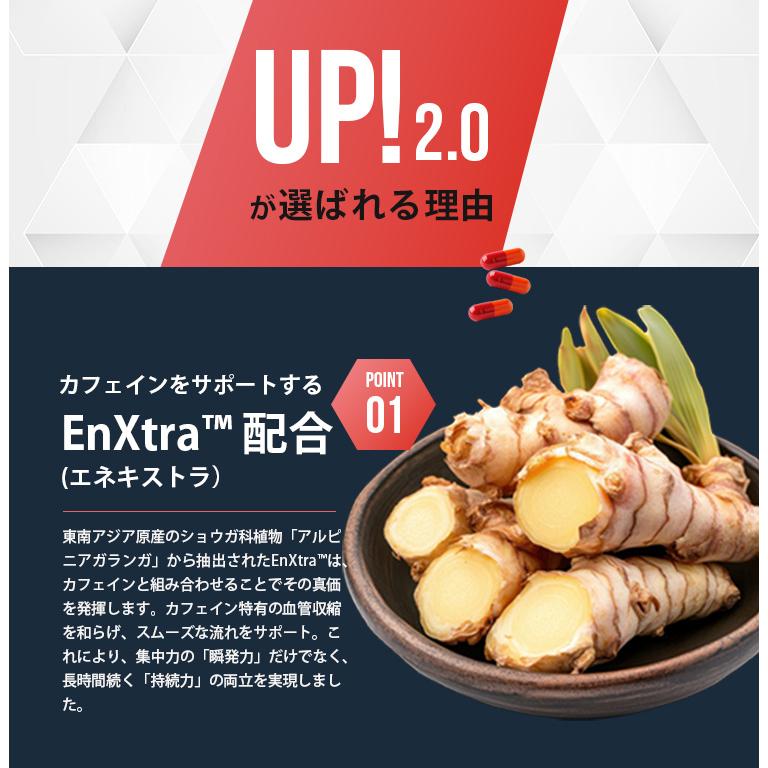 2個セット HALEO UP!2.0 ハレオ アップ2.0 サプリメント エナジー 集中 カプセル 90粒 30回分 やる気 眠気 勉強 受験 仕事 運転 ワークアウト カフェイン（DM）の画像