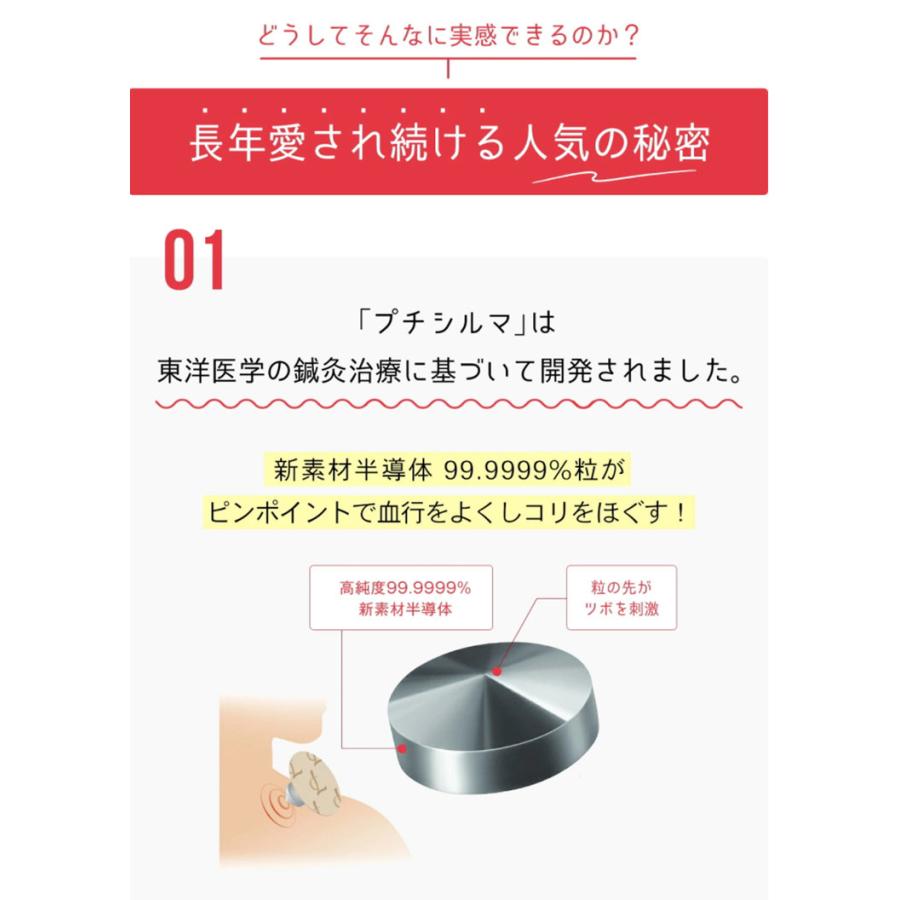 Dr.プチシルマ LSi14 DX5.5mm 6粒 専用シール30枚入り メール便無料