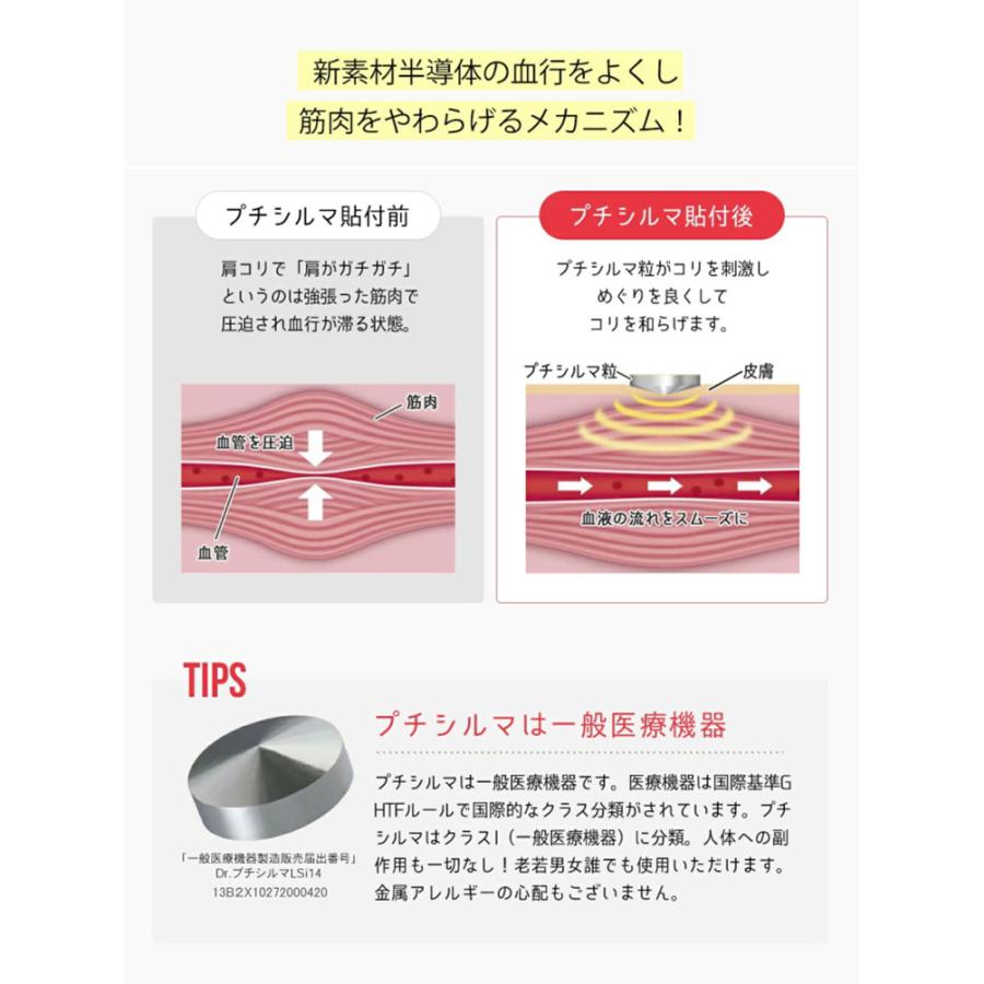 Dr.プチシルマ LSi14 DX5.5mm 6粒 専用シール30枚入り メール便無料