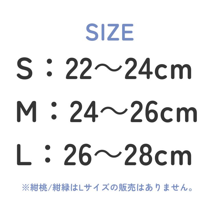 さとう式リンパケア スニーカーソックス さとう式 佐藤青児 フレクサー