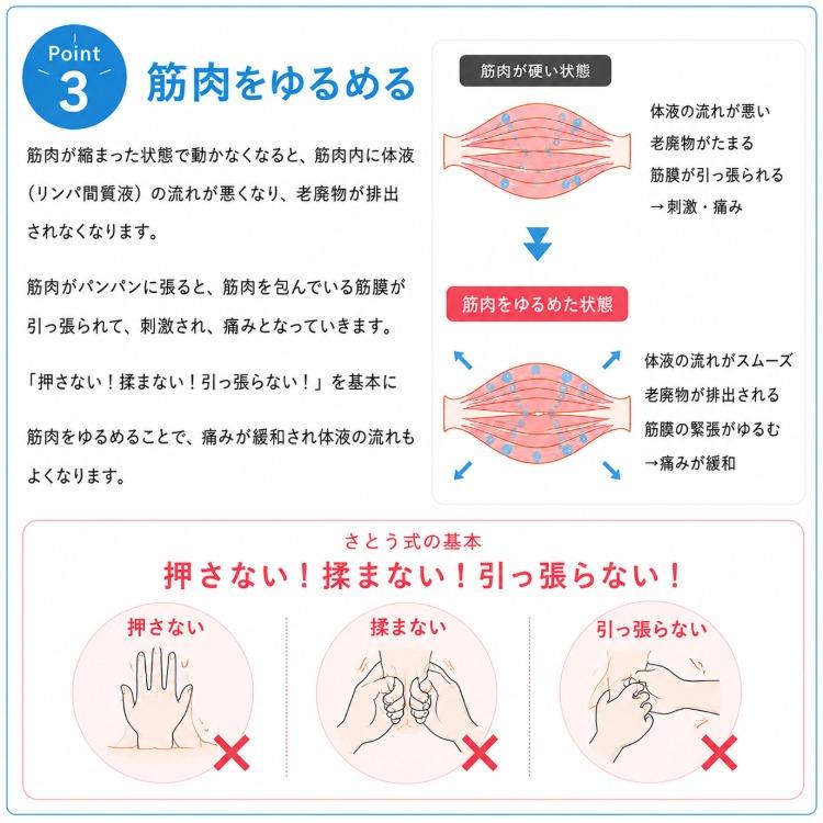 さとう式リンパケア スニーカーソックス さとう式 佐藤青児 フレクサー