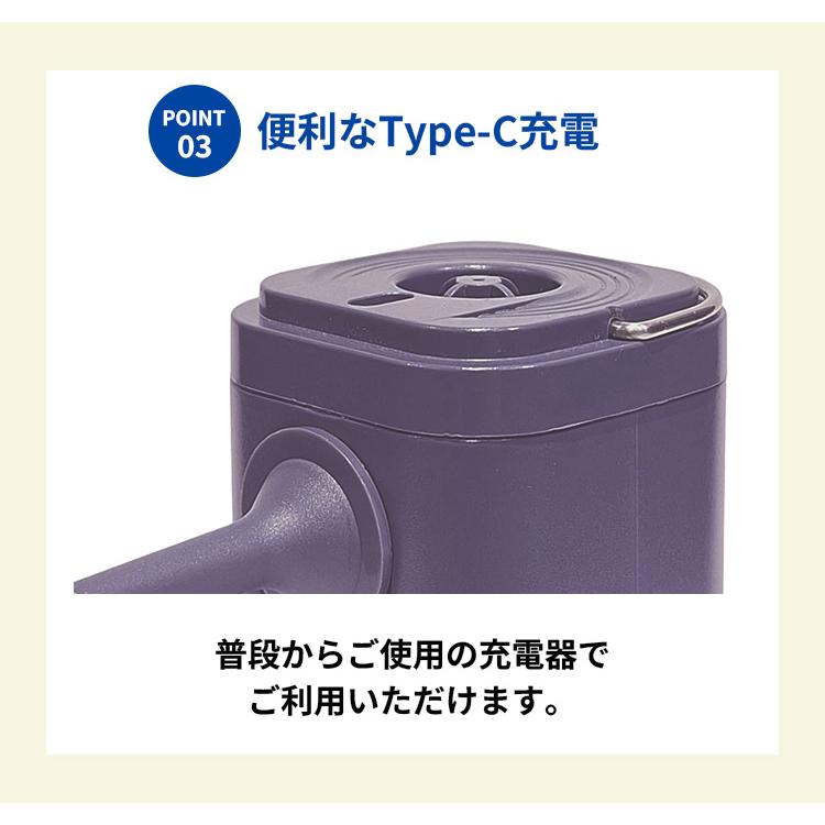 かる旅 電動エアポンプ 圧縮バッグ専用 4SPRING フォースプリング Type