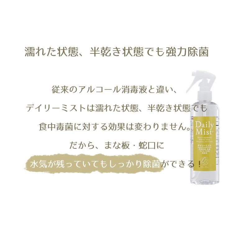 業務用 20L 天然除菌・抗菌スプレー デイリーミスト 詰め替え液 メーカー直送 海外×の画像