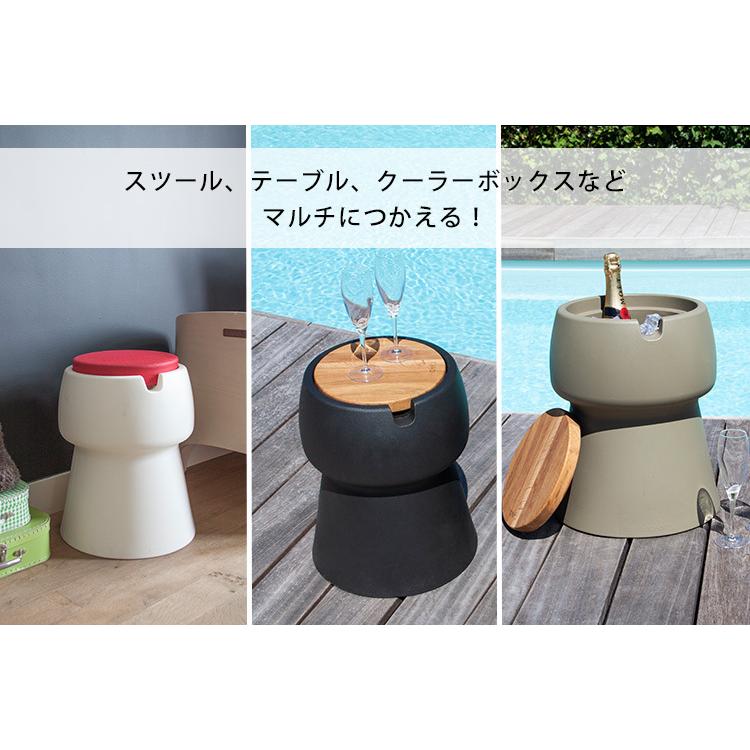 JOKJOR Champ 本体 メーカー直送 ヨクヨール チャンプ チェア サイド