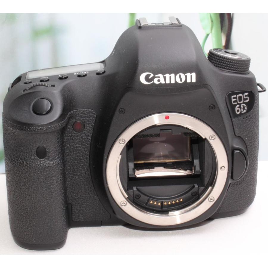 EOS 6D Canon 超望遠 300mm トリプルレンズセット 美品 16GB 新品SD 