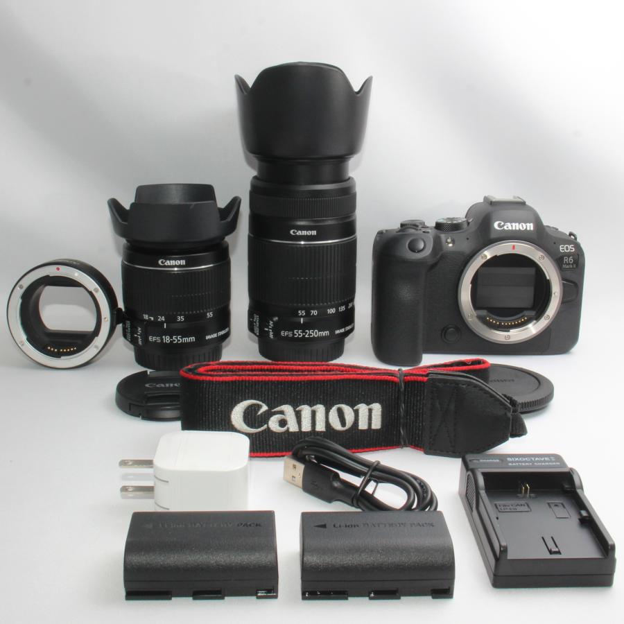 EOS Rシステム キャノン Canon R6 MARK II 手振れ補正ダブルズーム