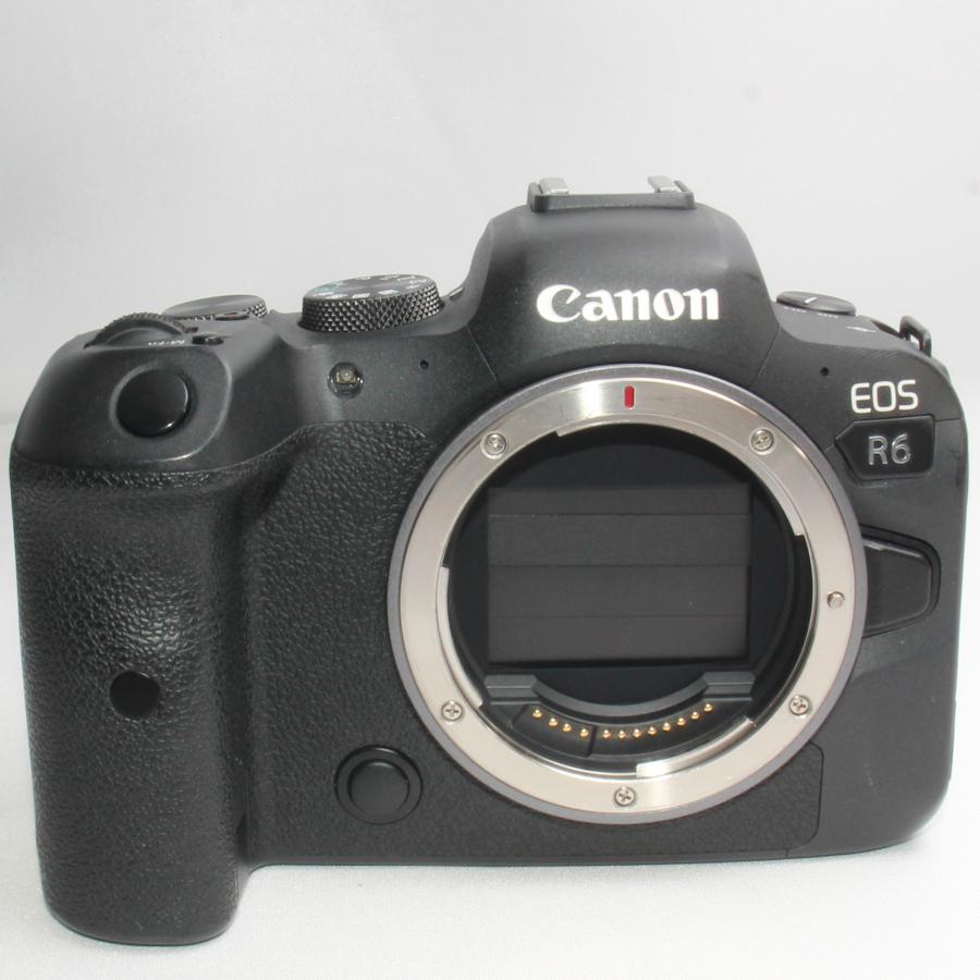 キャノン Canon EOS R6 STMダブルズーム 当店限定多数のオマケ付きの画像