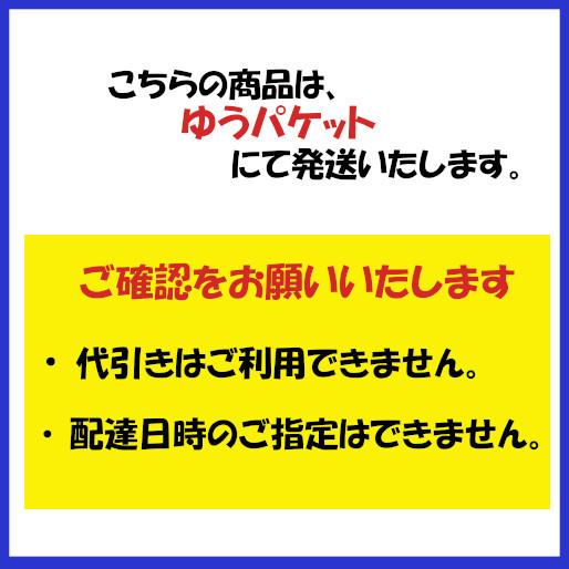 上品な美しさと快適さを兼ね備えた、高級感漂うナイロン礼装用手袋 純白 【送料無料！メール便対応となります】 W−10｜passion-work｜05