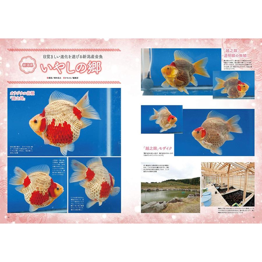 未使用送料込JAPAN伝統工芸風流2つ割れのれん華麗な金魚キンギョ