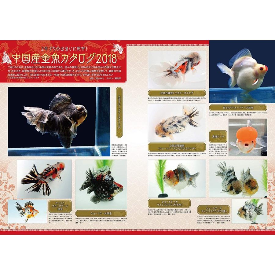 きんぎょ生活 No.5 奥深く楽しい金魚の世界 (年1回発売 
